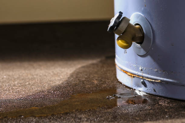 Best Carpet water damage restoration  in Bridgeport, NE