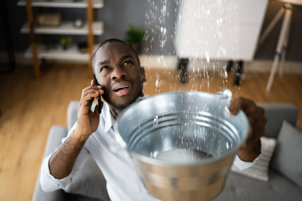 Best Basement water damage restoration  in Bridgeport, NE