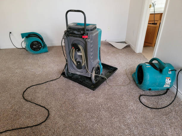 Best Water damage restoration near me  in Bridgeport, NE