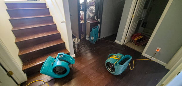 Best Professional water damage repair  in Bridgeport, NE