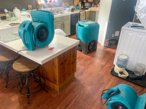 Reliable NE Water damage restoration Solutions