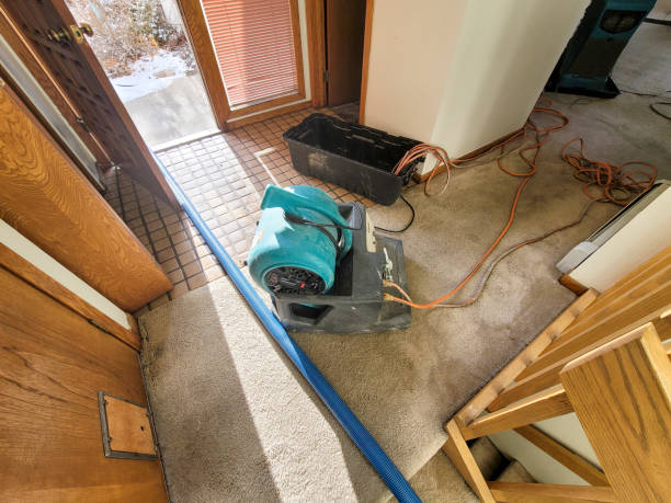 Best Ceiling water damage repair  in Bridgeport, NE
