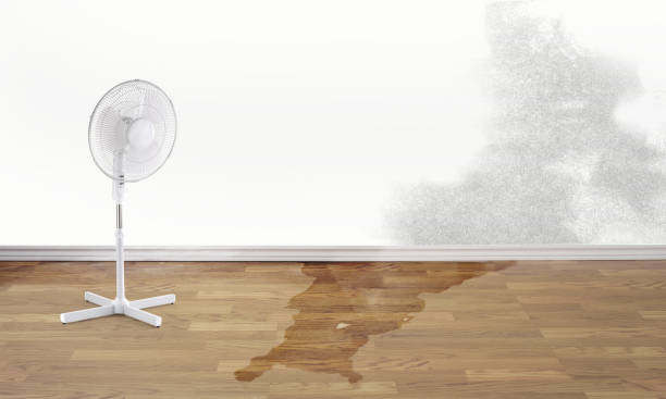 Best Emergency water damage restoration  in Bridgeport, NE