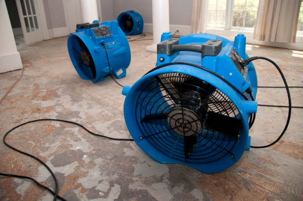 Best Water damage contractors near me  in Bridgeport, NE