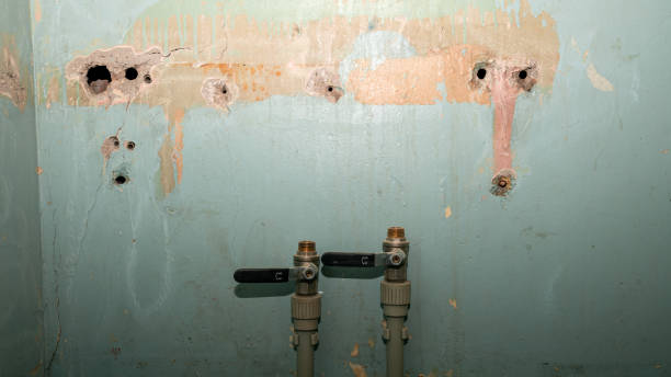 Best Water damage restoration near me  in Bridgeport, NE