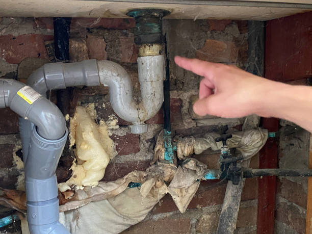 Best Local water damage restoration  in Bridgeport, NE