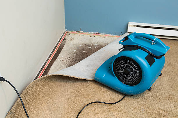 Sewage cleanup and water damage restoration in NE